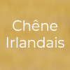 Chêne Irlandais